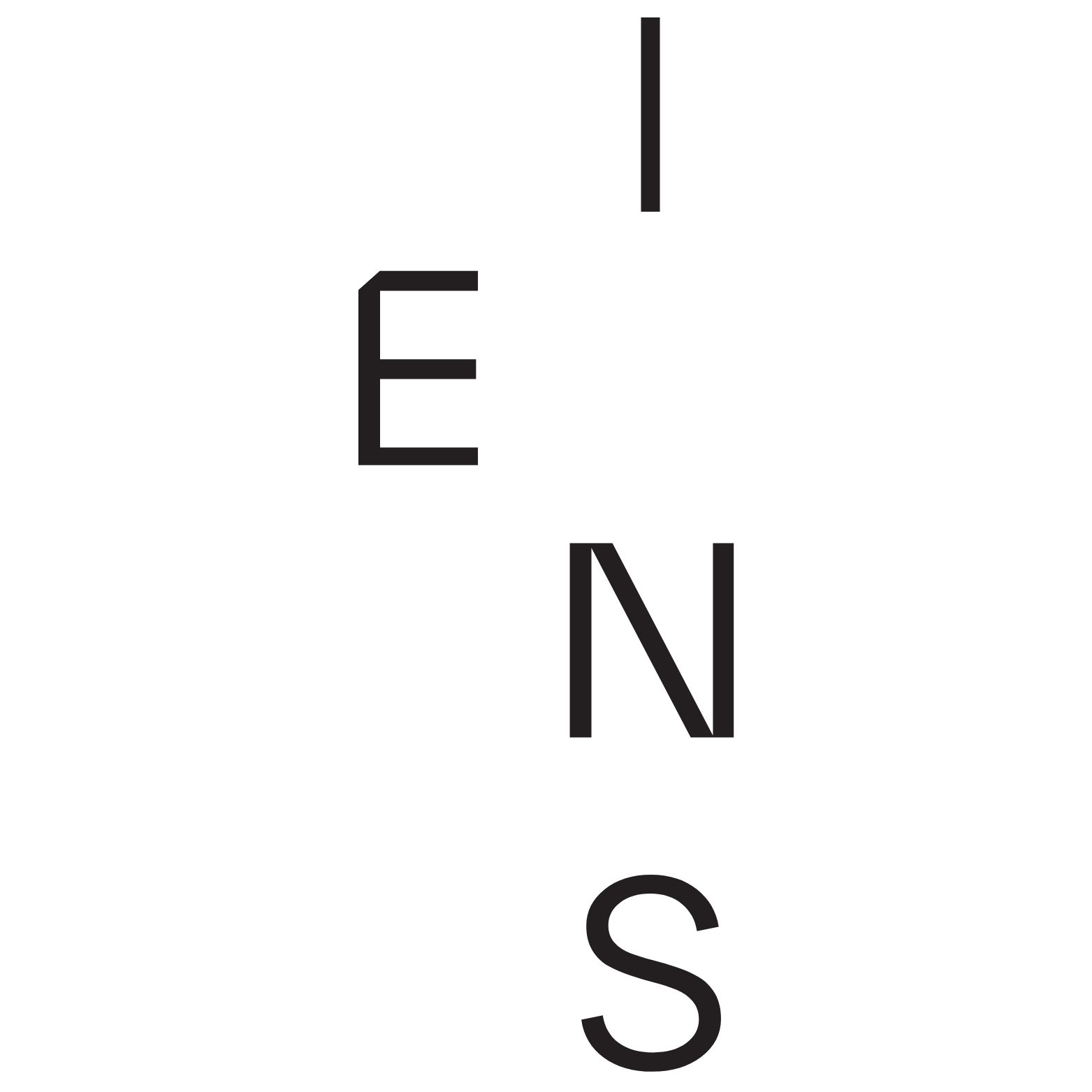 Eins_logo
